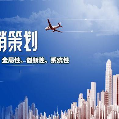 营销策划 制胜市场的蓝图与引擎